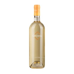 VERMENTINO LINTORI CL 75